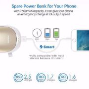 PISEN 2-in-1 Portable Charger - Hand Warmer, 7500mAh Power bank