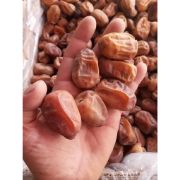 dates Plant من هب له.كوم