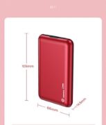 POWERBANK RPP-163